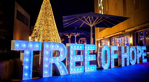 Here’s what you can expect from Kelowna’s first ever Tree of Hope Festival today